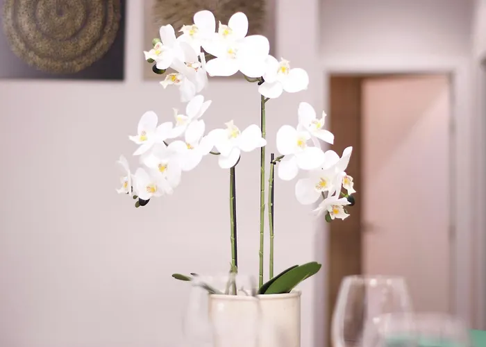 Espacioso Refugio Urbano Sentirte En Casa Apartman